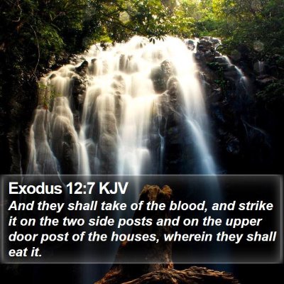 Exodus 12:7 KJV Bible Verse Image