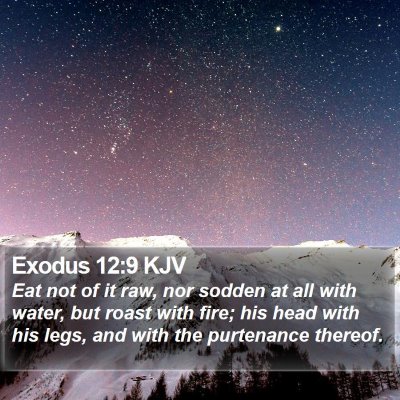 Exodus 12:9 KJV Bible Verse Image