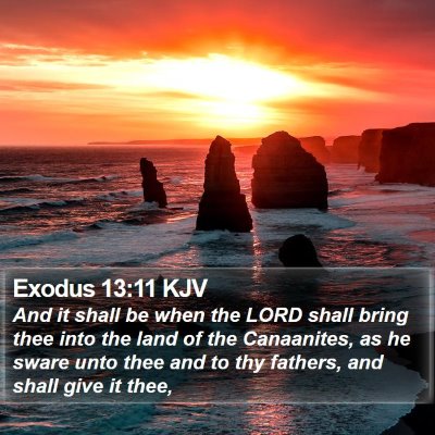 Exodus 13:11 KJV Bible Verse Image