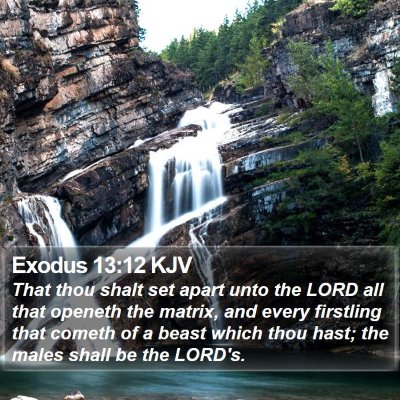 Exodus 13:12 KJV Bible Verse Image