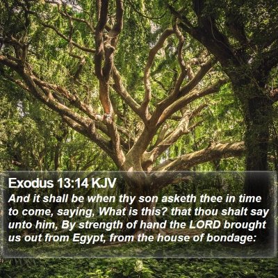 Exodus 13:14 KJV Bible Verse Image