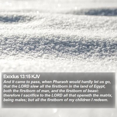 Exodus 13:15 KJV Bible Verse Image