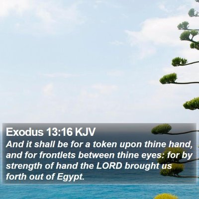Exodus 13:16 KJV Bible Verse Image