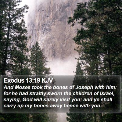 Exodus 13:19 KJV Bible Verse Image
