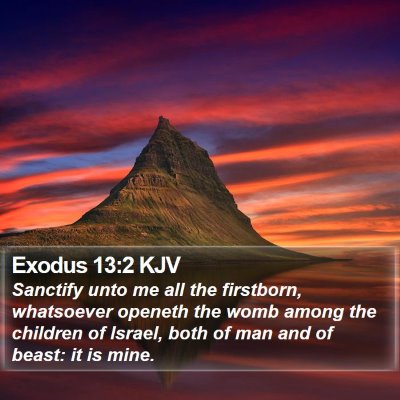Exodus 13:2 KJV Bible Verse Image