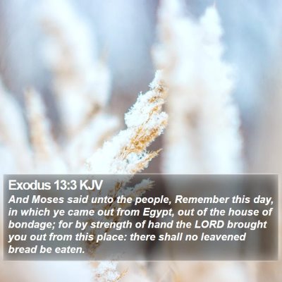 Exodus 13:3 KJV Bible Verse Image