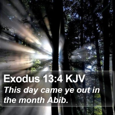 Exodus 13:4 KJV Bible Verse Image