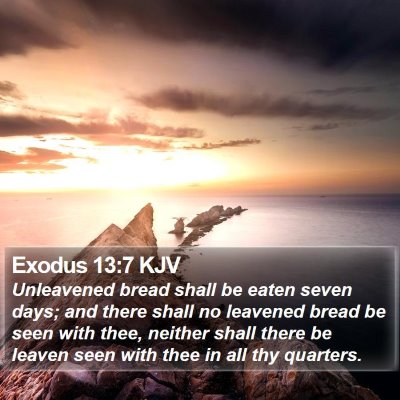 Exodus 13:7 KJV Bible Verse Image