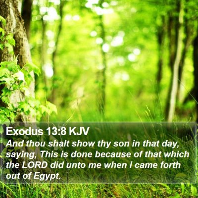 Exodus 13:8 KJV Bible Verse Image