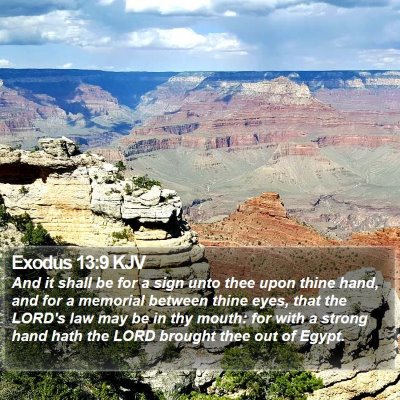 Exodus 13:9 KJV Bible Verse Image
