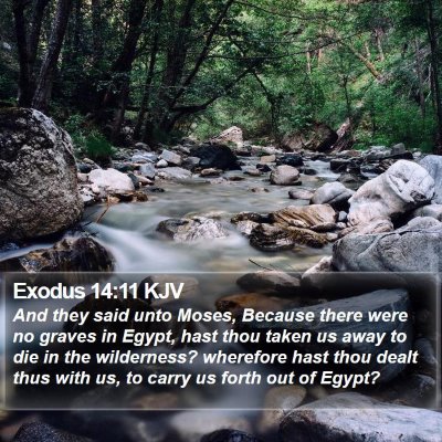 Exodus 14:11 KJV Bible Verse Image