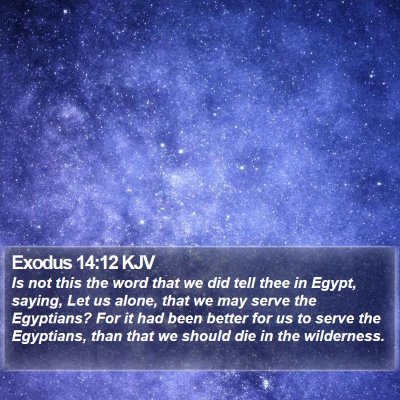 Exodus 14:12 KJV Bible Verse Image