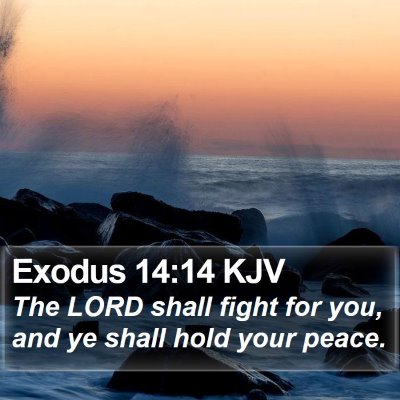 Exodus 14:14 KJV Bible Verse Image
