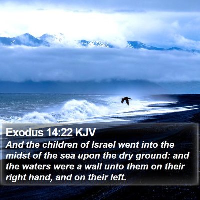 Exodus 14:22 KJV Bible Verse Image