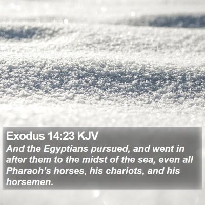 Exodus 14:23 KJV Bible Verse Image