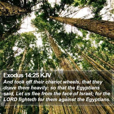 Exodus 14:25 KJV Bible Verse Image