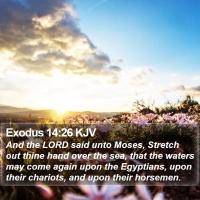 Exodus 14:26 KJV Bible Verse Image