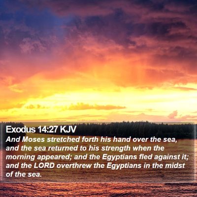 Exodus 14:27 KJV Bible Verse Image