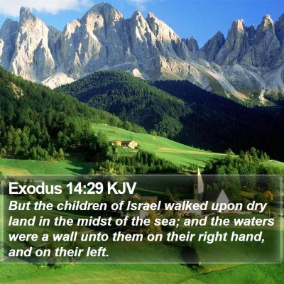Exodus 14:29 KJV Bible Verse Image