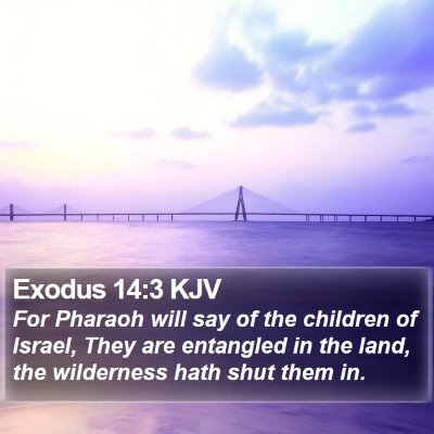 Exodus 14:3 KJV Bible Verse Image