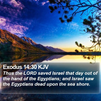 Exodus 14:30 KJV Bible Verse Image