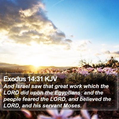 Exodus 14:31 KJV Bible Verse Image