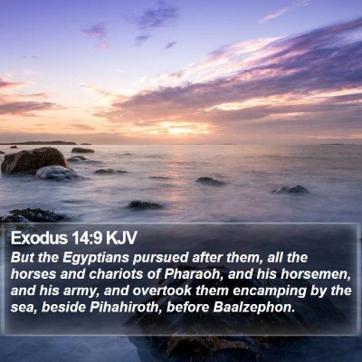Exodus 14:9 KJV Bible Verse Image