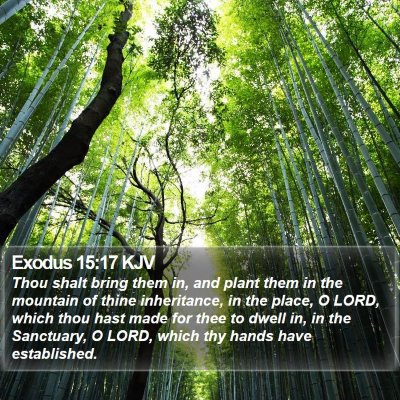 Exodus 15:17 KJV Bible Verse Image