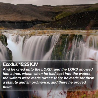 Exodus 15:25 KJV Bible Verse Image