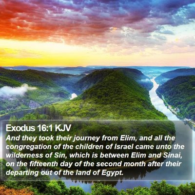 Exodus 16:1 KJV Bible Verse Image