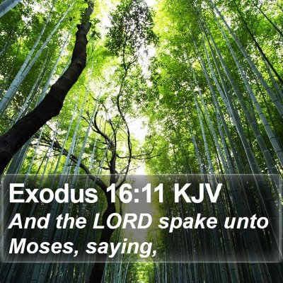 Exodus 16:11 KJV Bible Verse Image