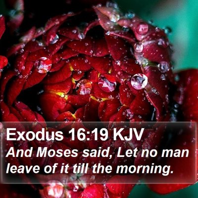 Exodus 16:19 KJV Bible Verse Image