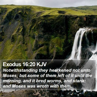 Exodus 16:20 KJV Bible Verse Image