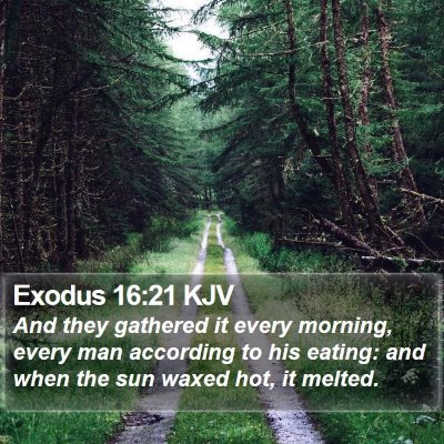Exodus 16:21 KJV Bible Verse Image