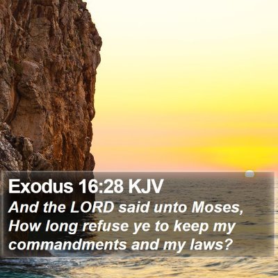 Exodus 16:28 KJV Bible Verse Image