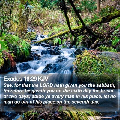Exodus 16:29 KJV Bible Verse Image