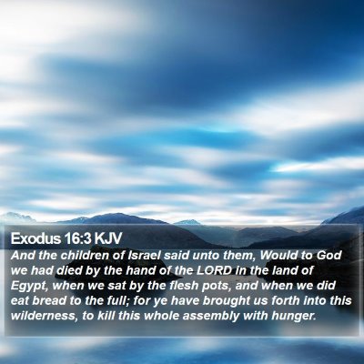 Exodus 16:3 KJV Bible Verse Image