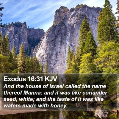 Exodus 16:31 KJV Bible Verse Image