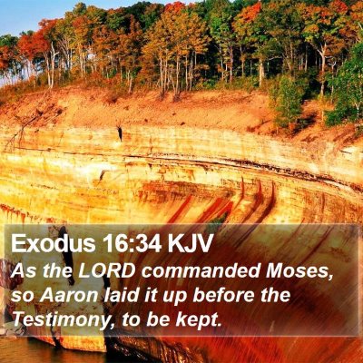 Exodus 16:34 KJV Bible Verse Image