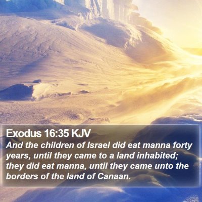 Exodus 16:35 KJV Bible Verse Image