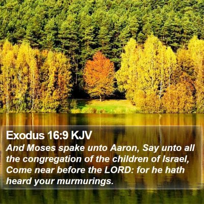 Exodus 16:9 KJV Bible Verse Image