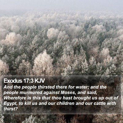 Exodus 17:3 KJV Bible Verse Image