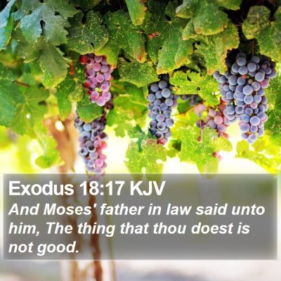 Exodus 18:17 KJV Bible Verse Image