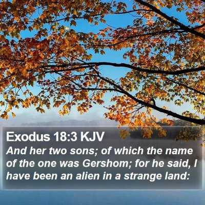 Exodus 18:3 KJV Bible Verse Image