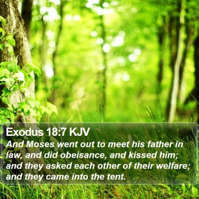 Exodus 18:7 KJV Bible Verse Image