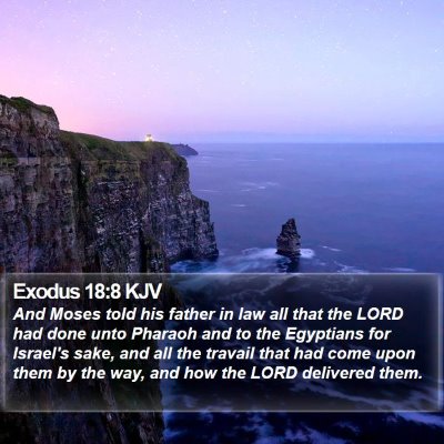 Exodus 18:8 KJV Bible Verse Image