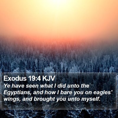 Exodus 19:4 KJV Bible Verse Image
