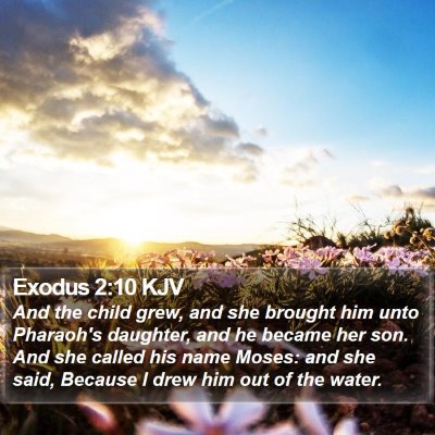Exodus 2:10 KJV Bible Verse Image