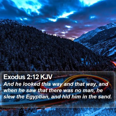Exodus 2:12 KJV Bible Verse Image