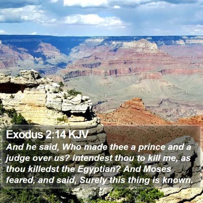 Exodus 2:14 KJV Bible Verse Image